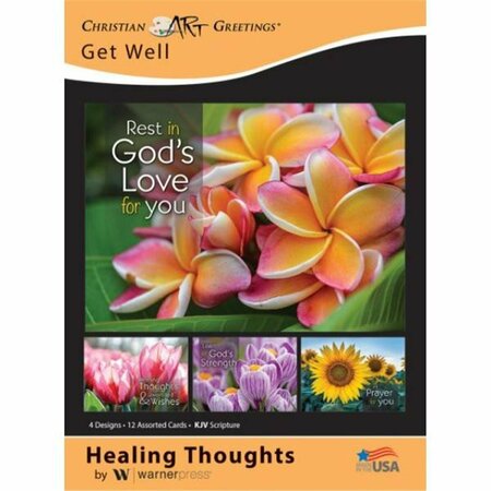 GO-GO Healing Thoughts Assorted Get Well Boxed Card, 12PK GO3320645